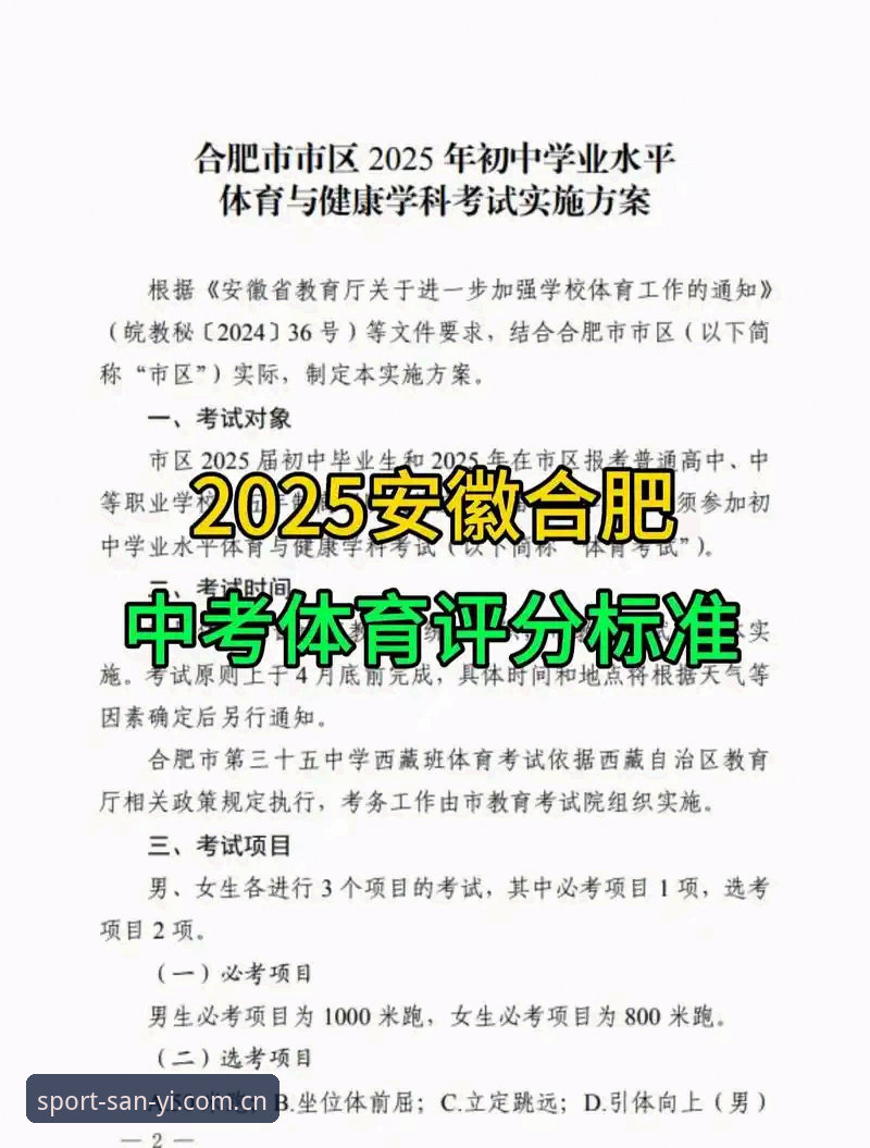 三亿体育平台2025最新动态：新手必看完整体验报告
